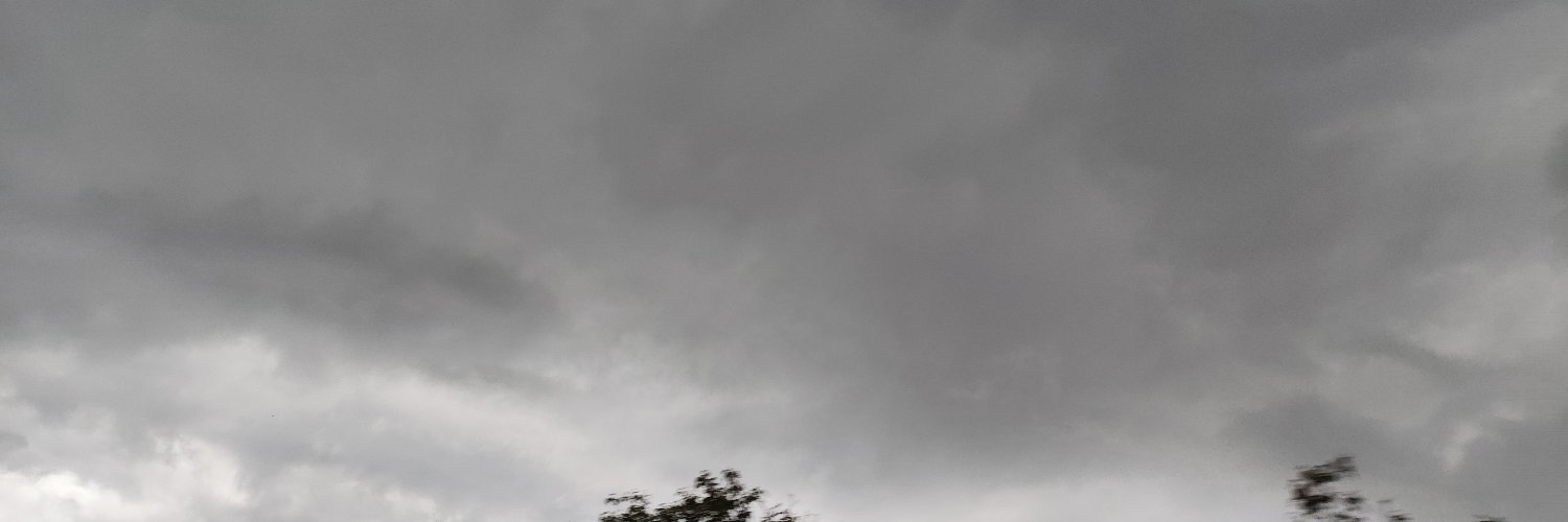 DomisWoof's profile banner image