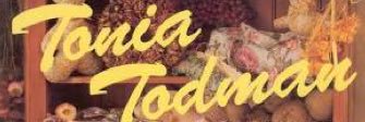 FakeToniaTodman's profile banner image