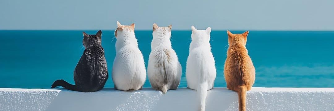 YourFavLemonPie's profile banner image