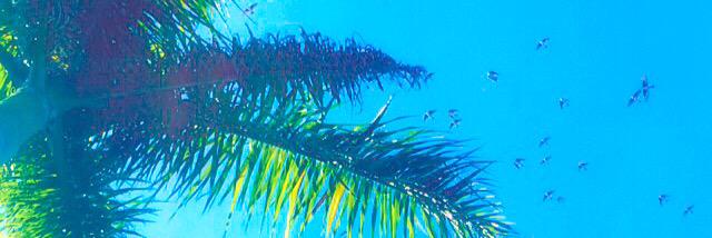 lexi_loring's profile banner image