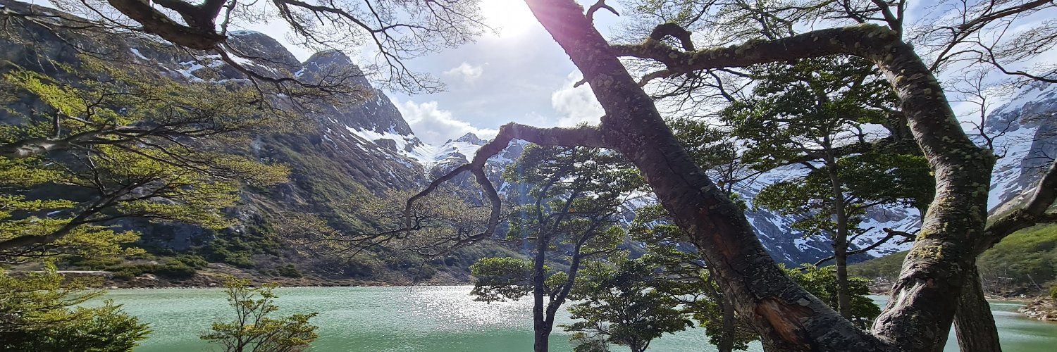 SoaBolinha's profile banner image