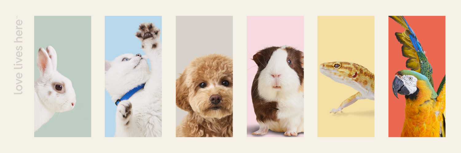 Pet Valu banner