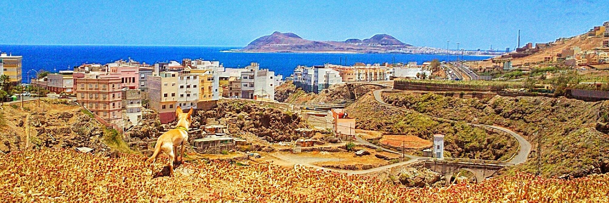 CurbeloIban's profile banner image