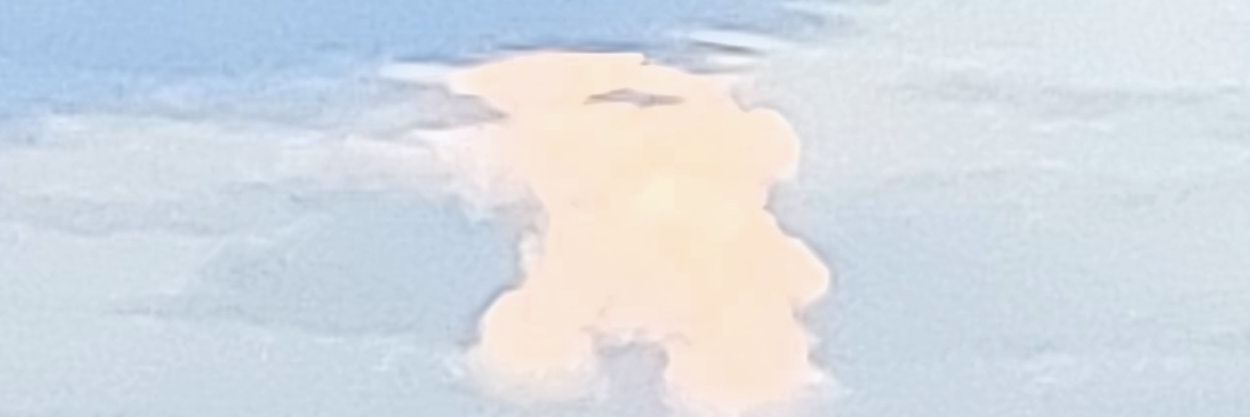 Lynelmer's profile banner image