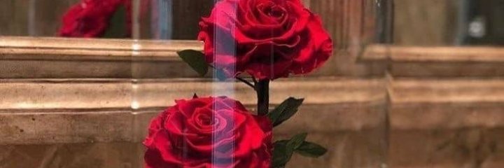 eesscripto's profile banner image