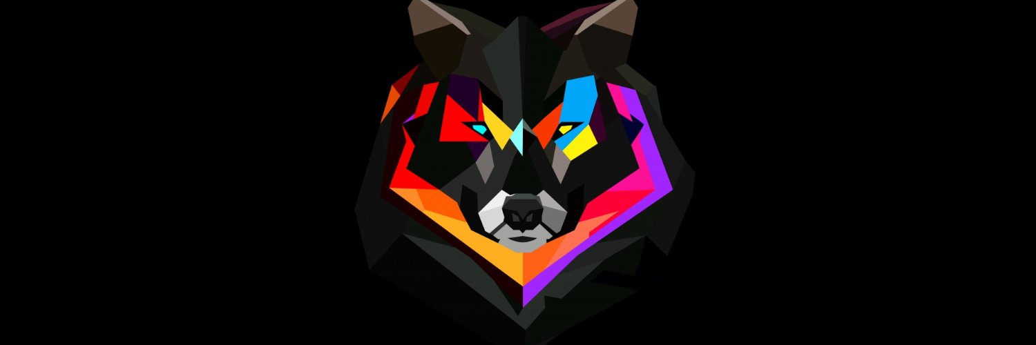 DnZLsTYL's profile banner image