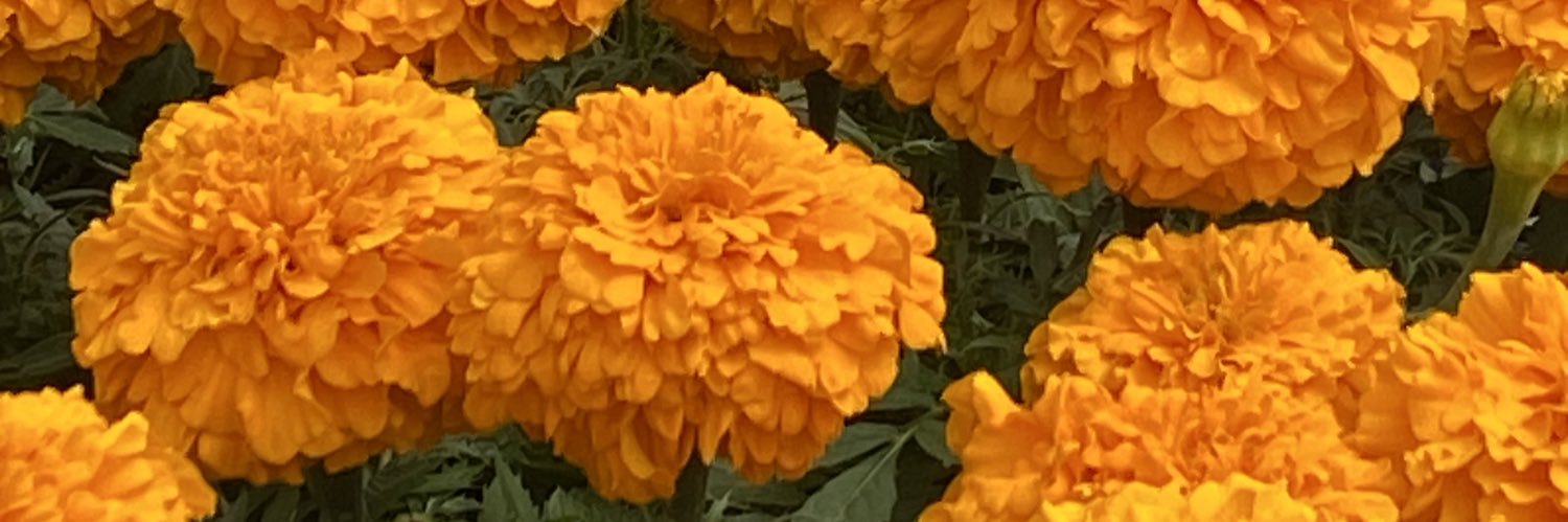 CorynnSadeeee's profile banner image