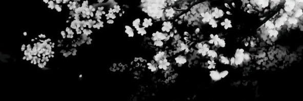 Julie ˗ ˏ ˋ ♡ ˎˊ ˗ banner