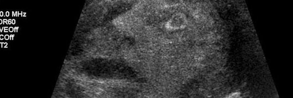 4k_Daddy's profile banner image
