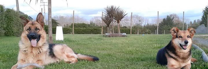 orneliitha's profile banner image