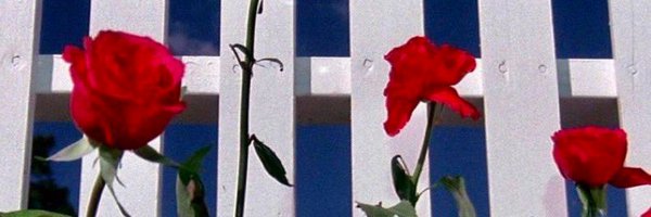 PressureCaptain Profile Banner