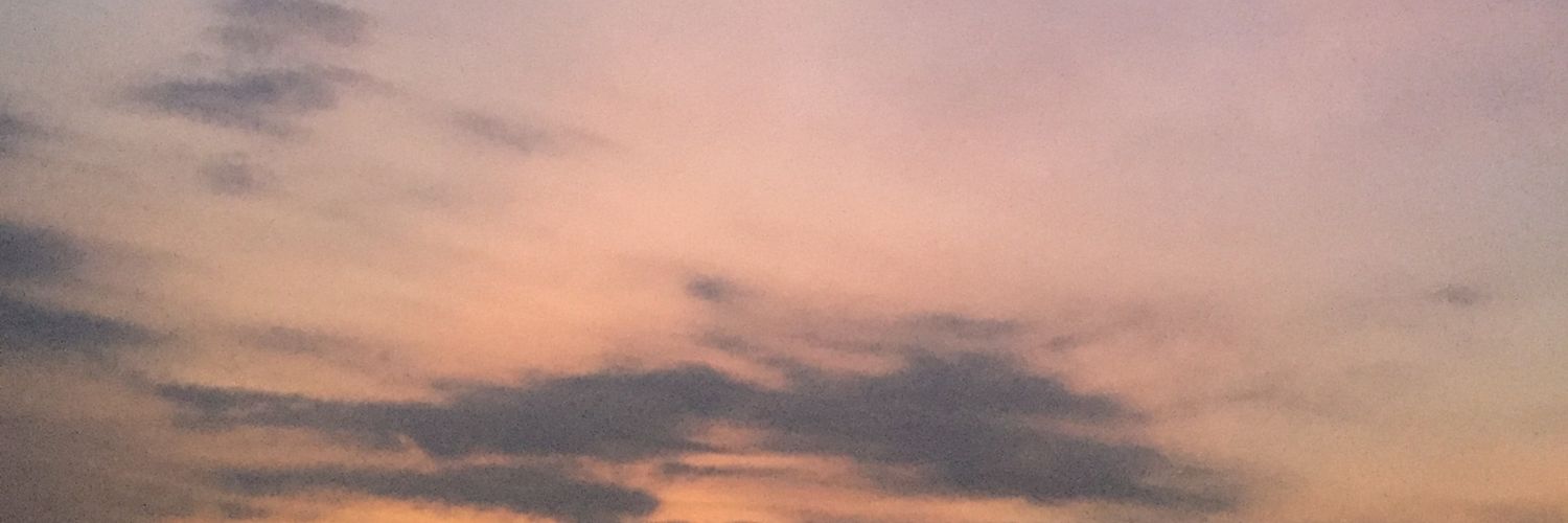 starvcha's profile banner image