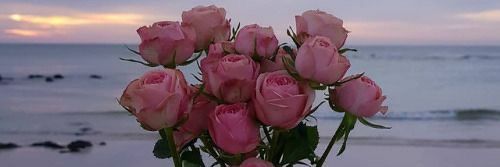 d_melyperez's profile banner image