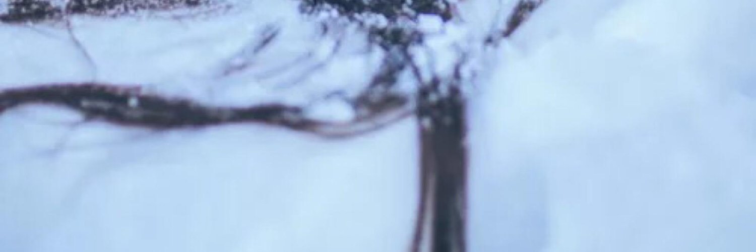vinhaaah's profile banner image