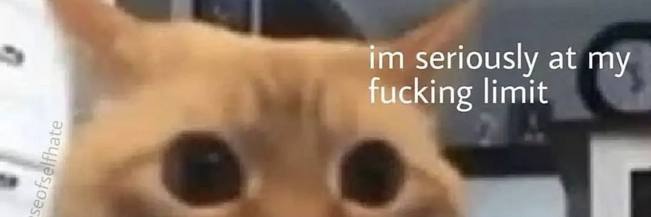fknrobinnn's profile banner image