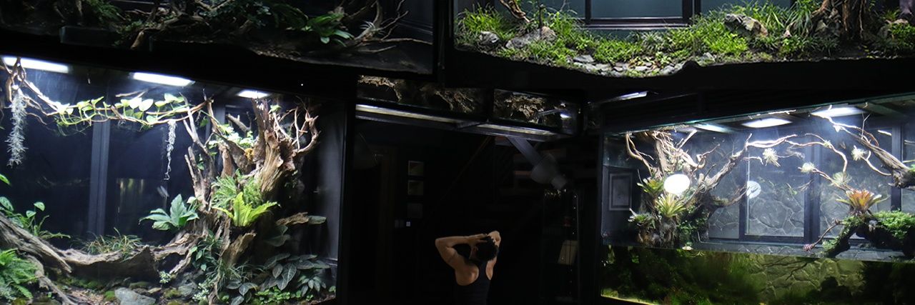 AntsCanada's profile banner image