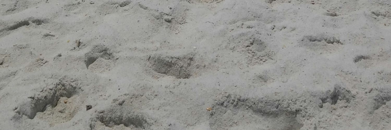 lynessbless's profile banner image