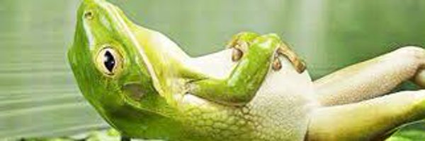 I_say_Toad Profile Banner