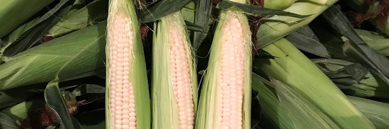 Mayse Farm Market banner