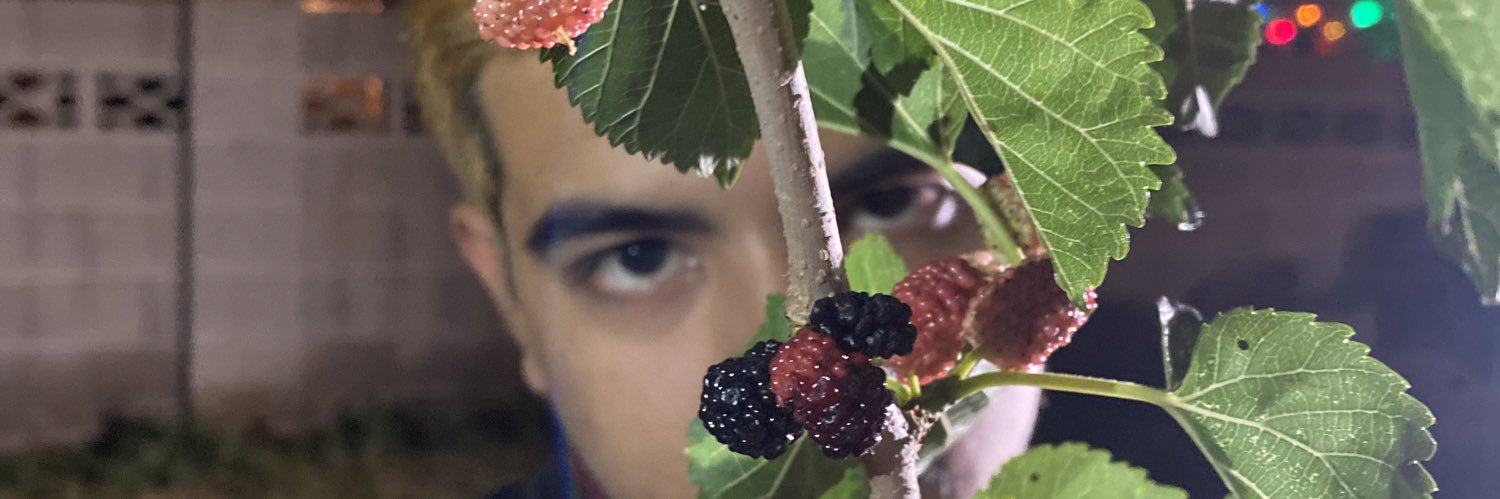 Mav_Reto's profile banner image