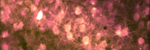 pklafosse Profile Banner