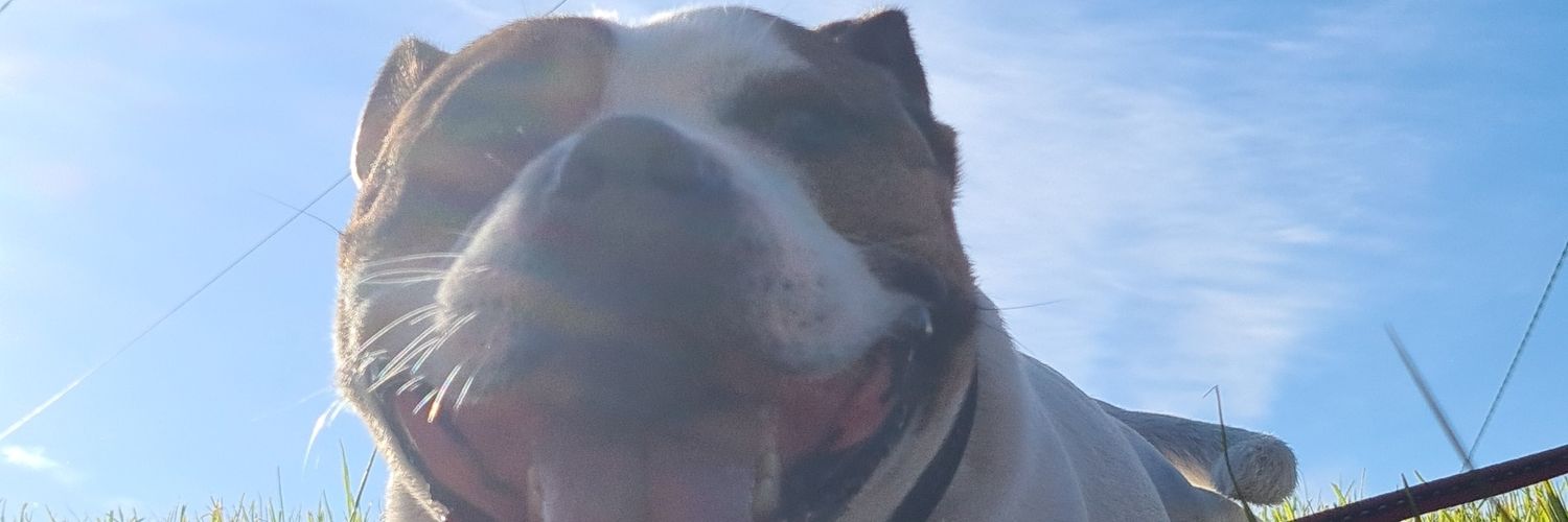 Tadhg96's profile banner image