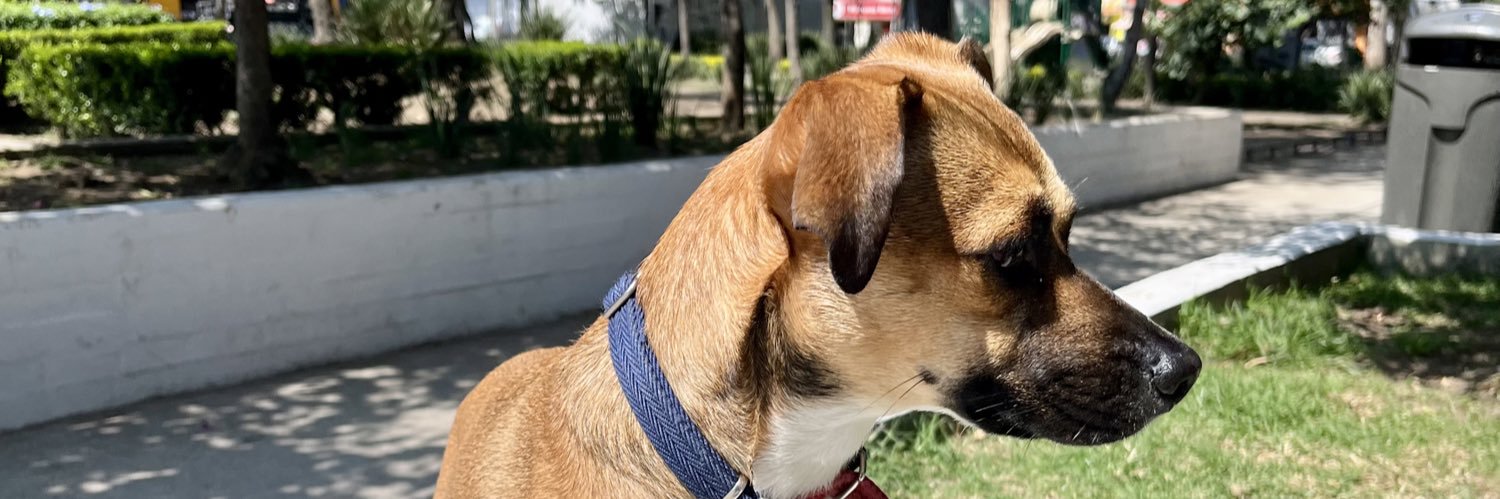 CarlosIsca's profile banner image