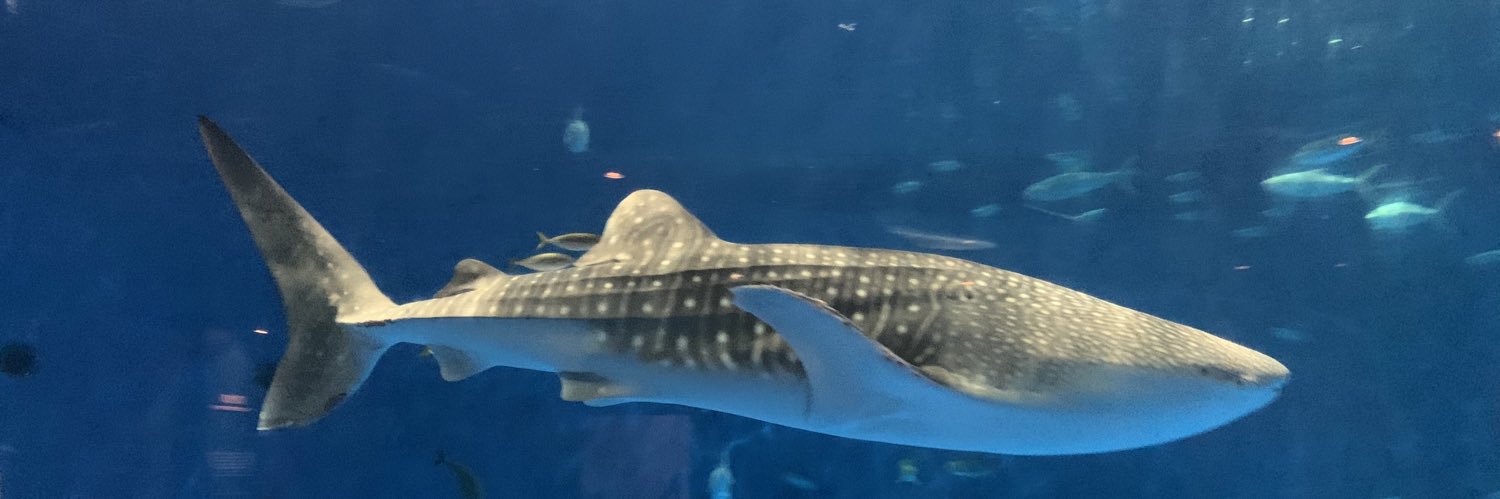 じゅんじゅん banner