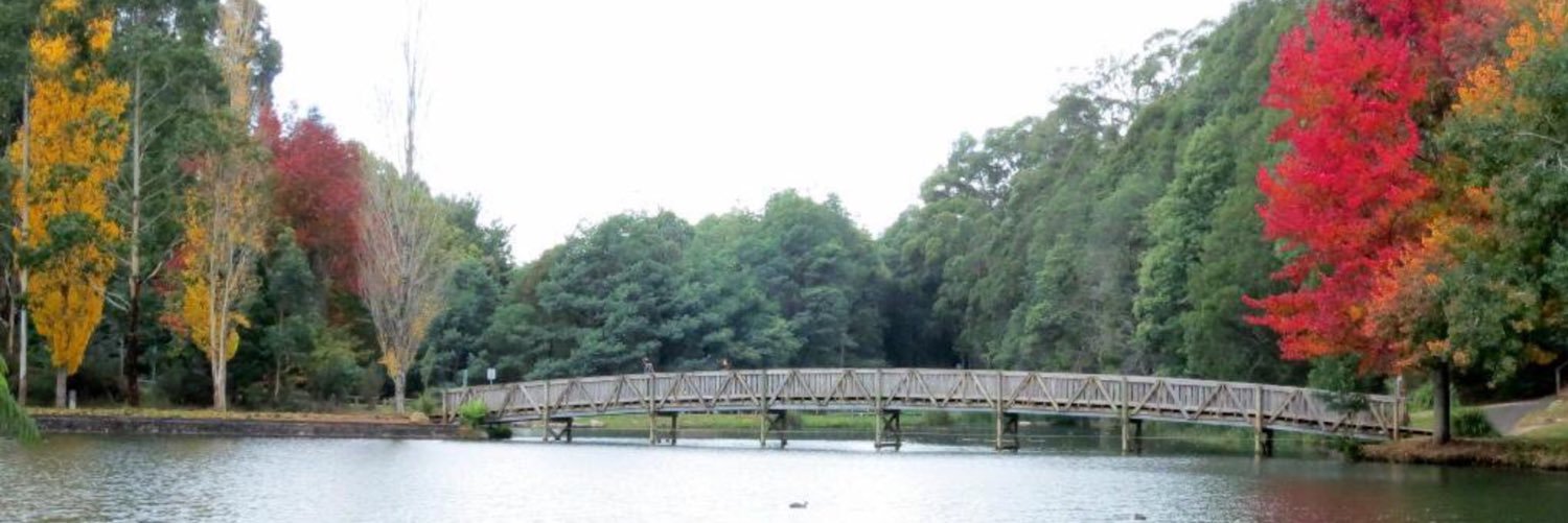 ajustinmurray's profile banner image