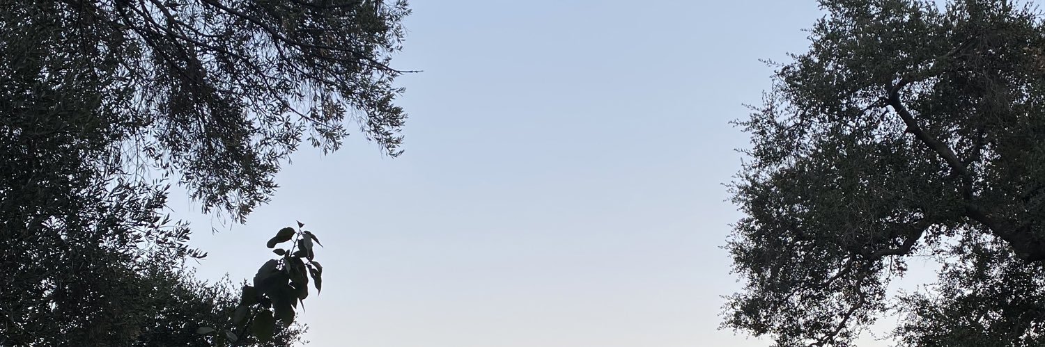 fashunbabe's profile banner image