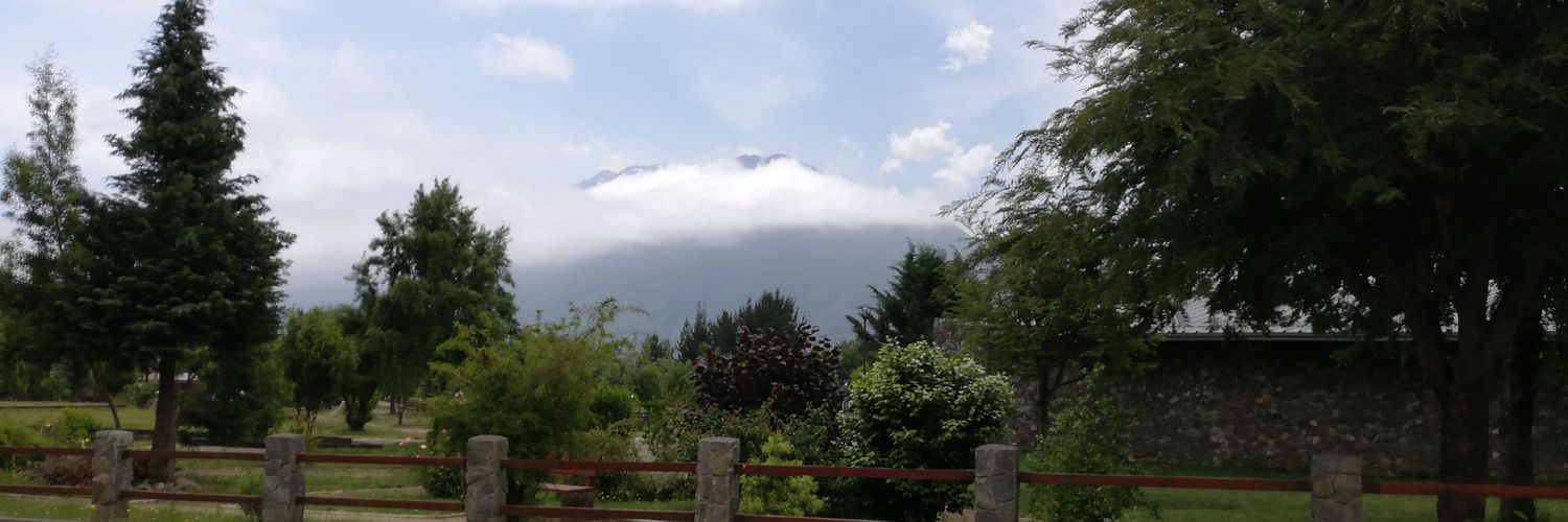 foreschile's profile banner image