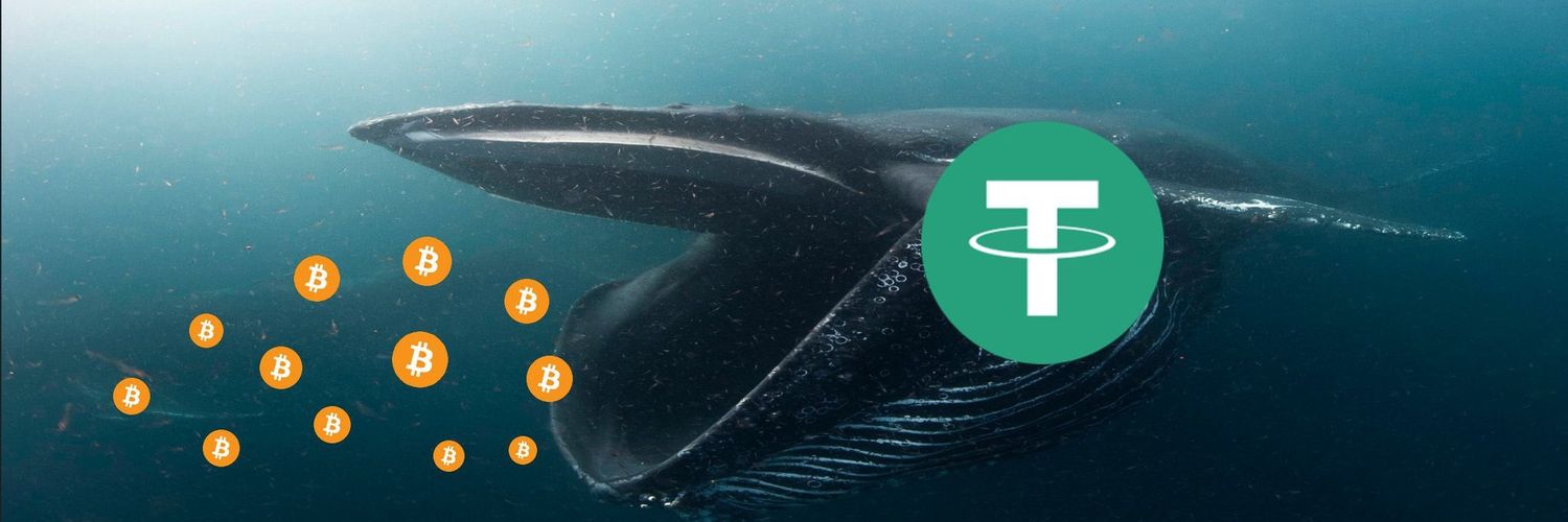 baskee's profile banner image