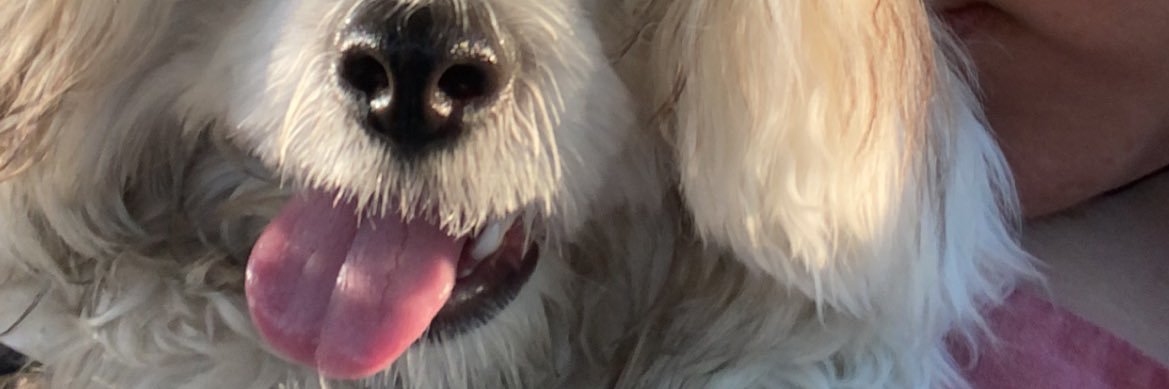 chickenjoi25's profile banner image