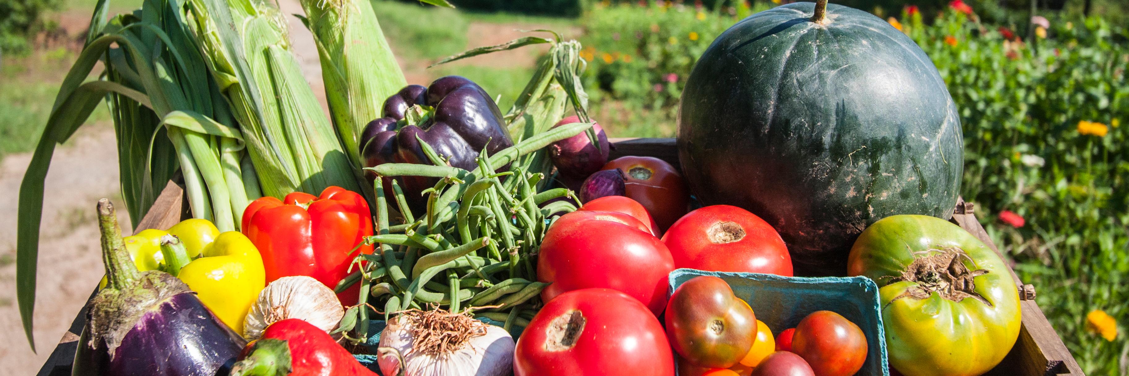 SerenbeFarms's profile banner image