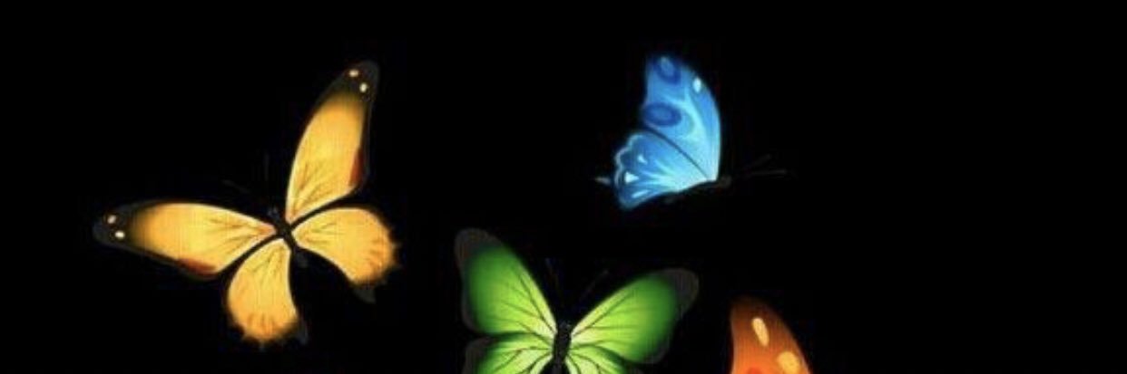 Monica Mora banner