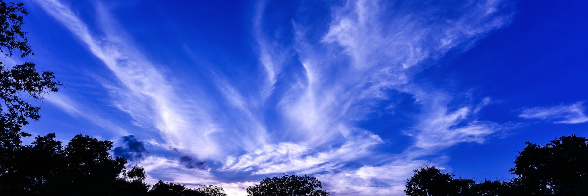 UDphotos's profile banner image