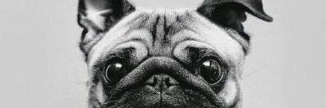jees_crn's profile banner image