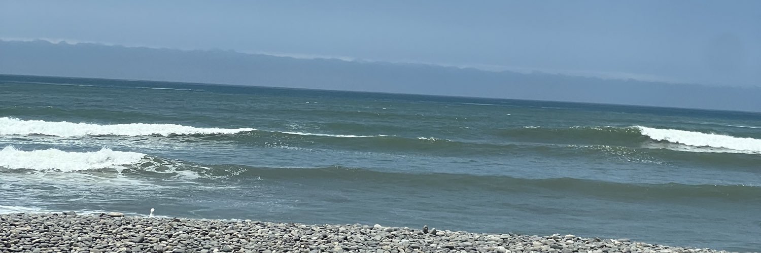 larvapa's profile banner image