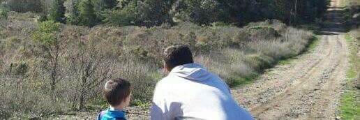 Javier Farina banner