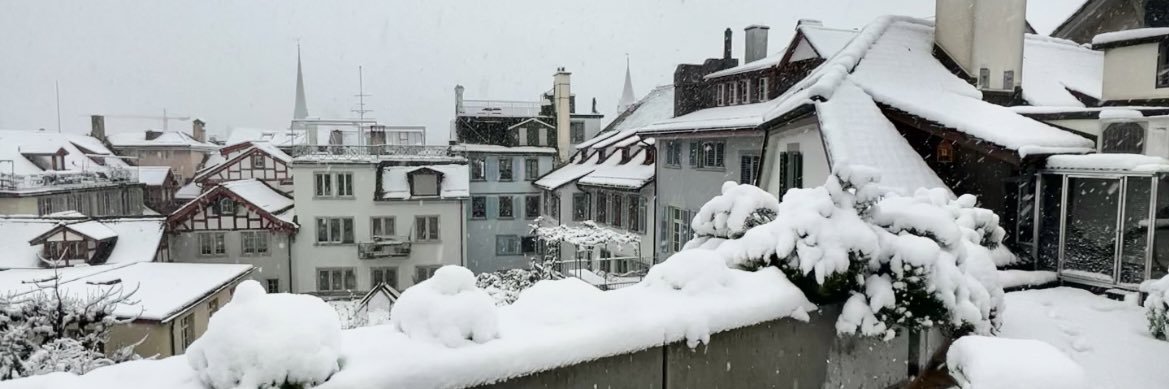 Simona Kotesova banner