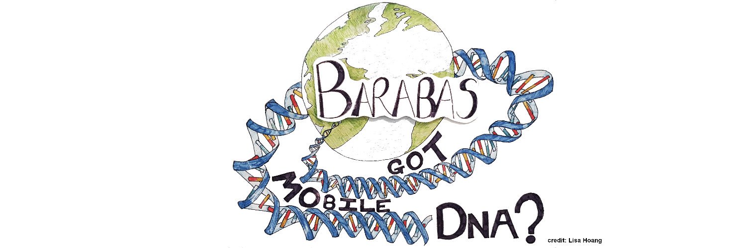 Barabas group's banner
