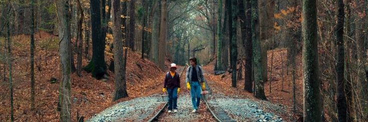 Gertie 🌸 banner