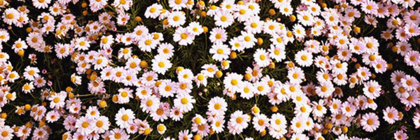 SukarnaS's profile banner image