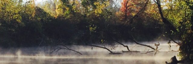 HogFan2020's profile banner image