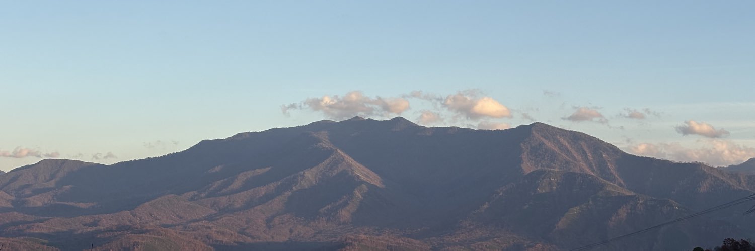 kinseyritchie's profile banner image