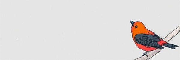 kumquats Profile Banner