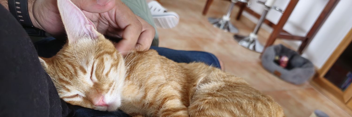 Sergio Agüera (Escritor 📕✒) banner