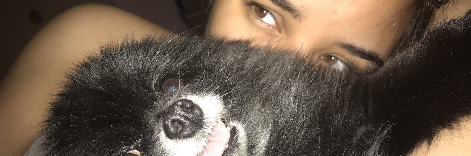 _N_P_M's profile banner image