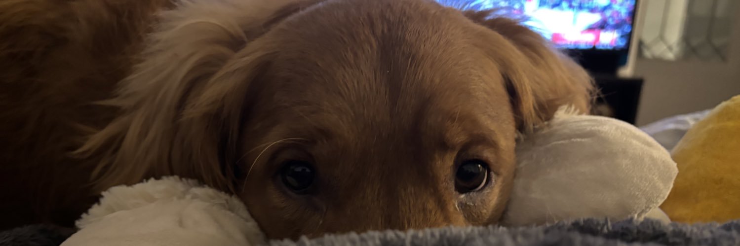 JessMarek40's profile banner image