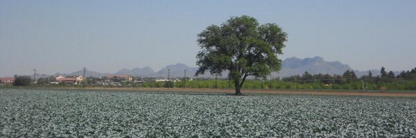 Taylor_Lytle Profile Banner